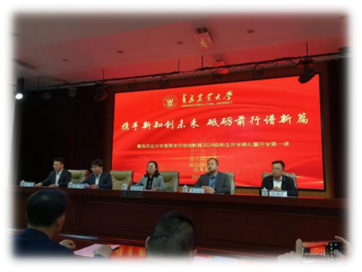 少妇被又大又粗又爽久久