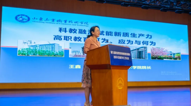 少妇被又大又粗又爽久久