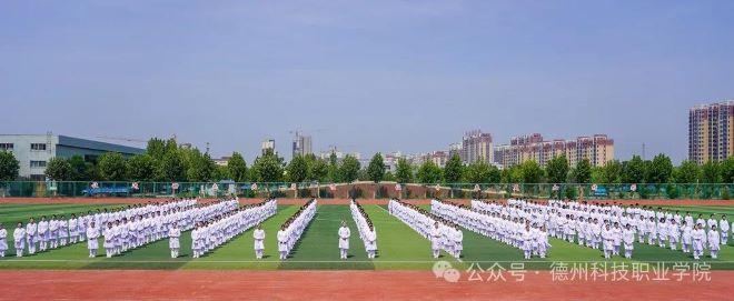 少妇被又大又粗又爽久久