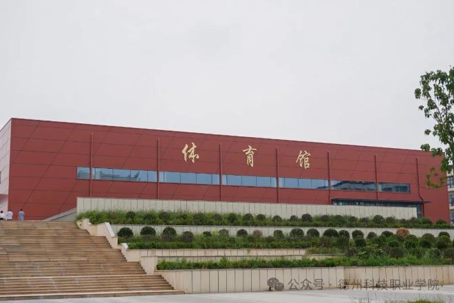 少妇被又大又粗又爽久久