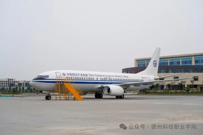 少妇被又大又粗又爽久久