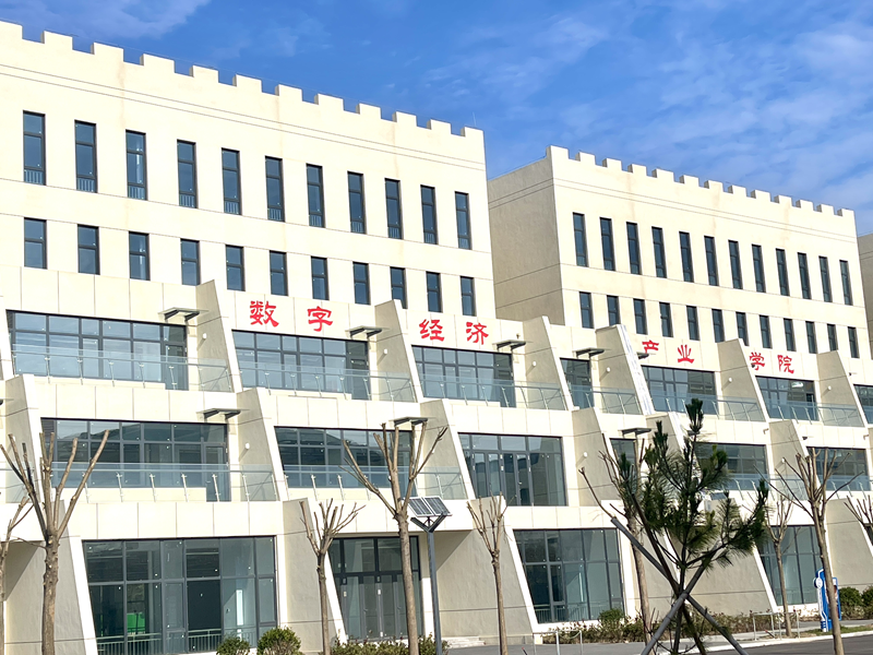 少妇被又大又粗又爽久久