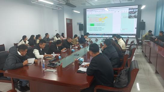 少妇被又大又粗又爽久久