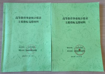 少妇被又大又粗又爽久久