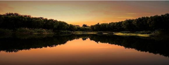 少妇被又大又粗又爽久久