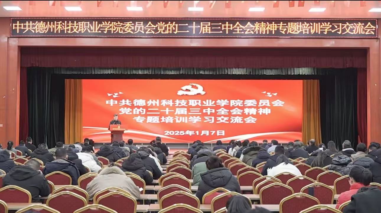 少妇被又大又粗又爽久久