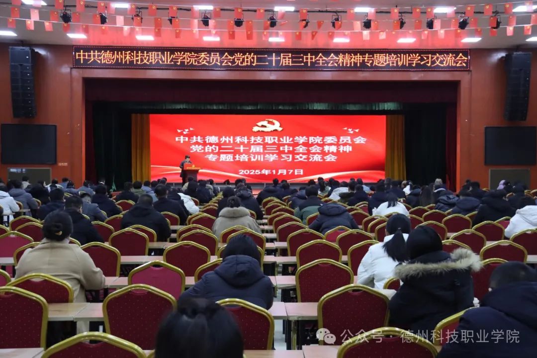 少妇被又大又粗又爽久久