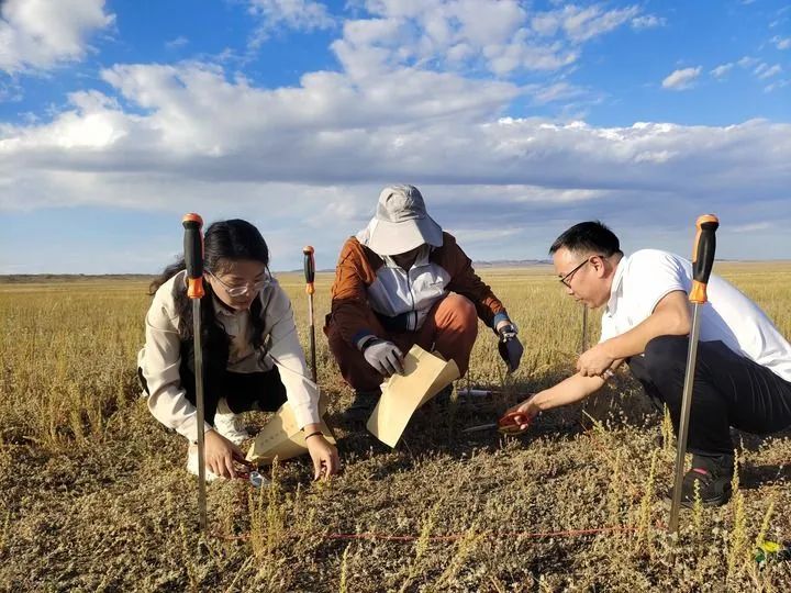 少妇被又大又粗又爽久久