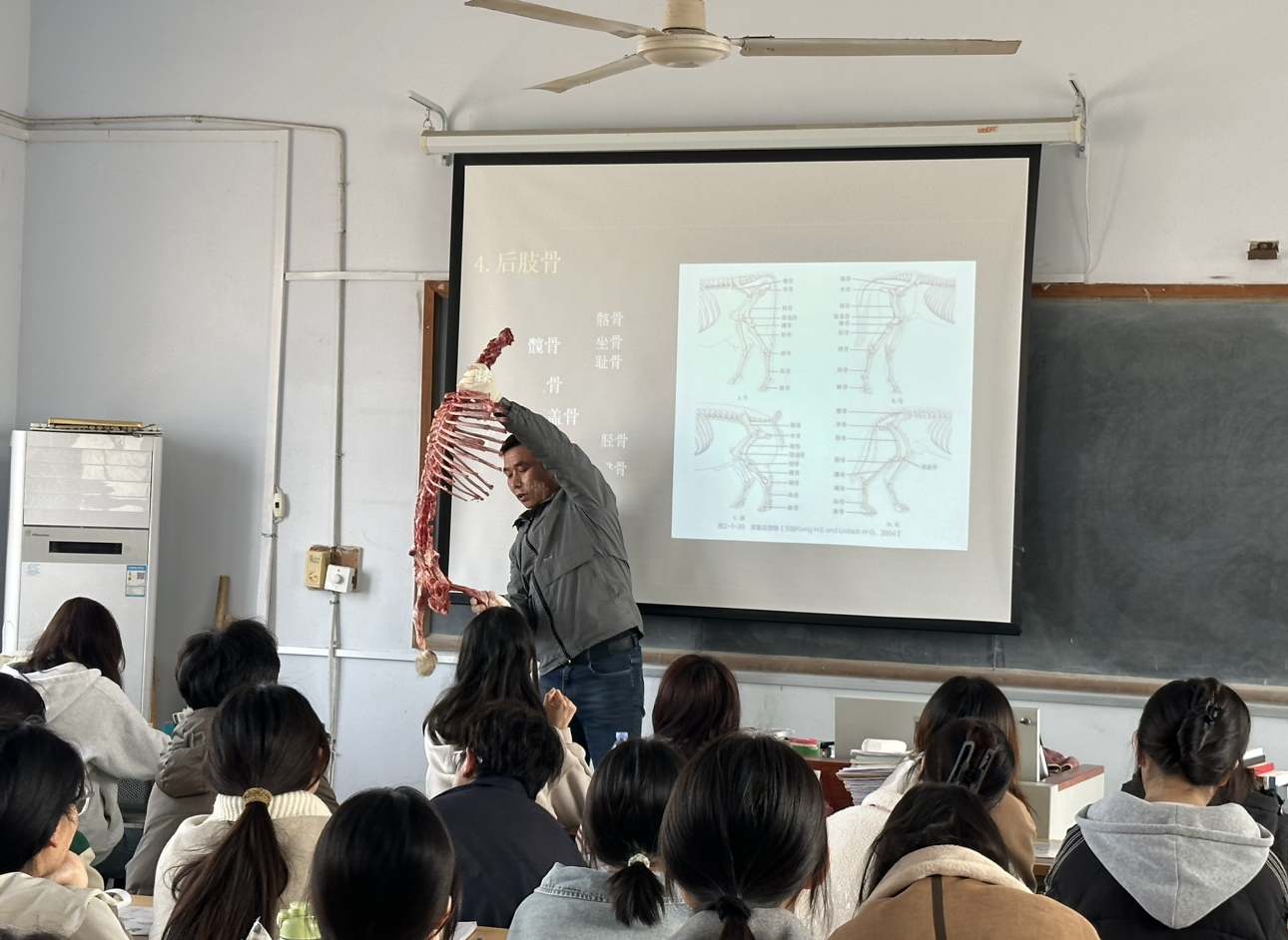 少妇被又大又粗又爽久久