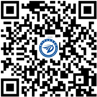 少妇被又大又粗又爽久久