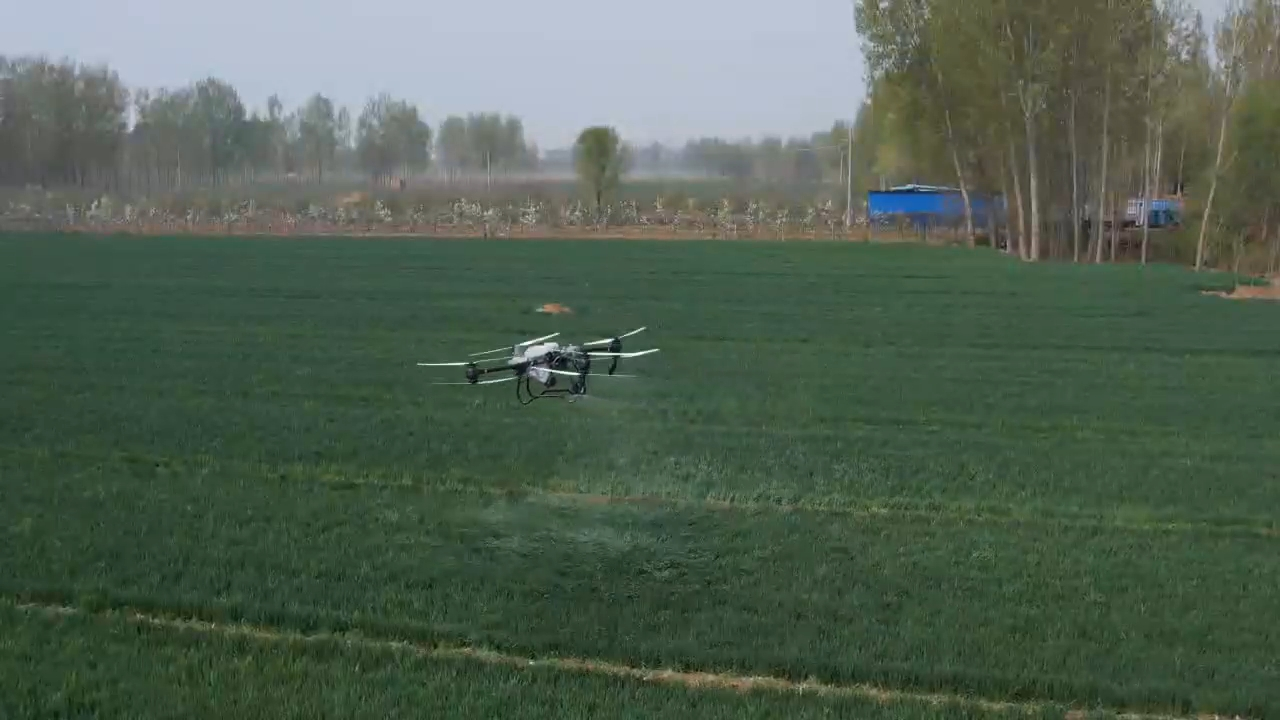 少妇被又大又粗又爽久久