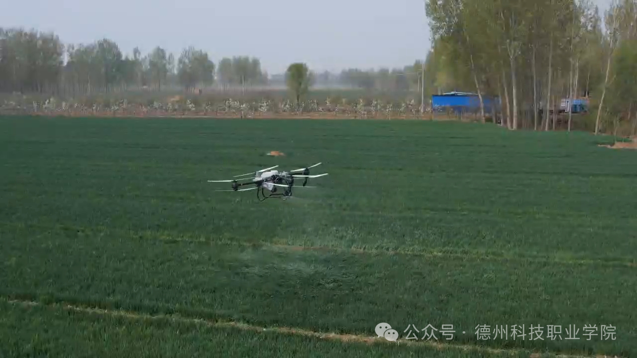 少妇被又大又粗又爽久久