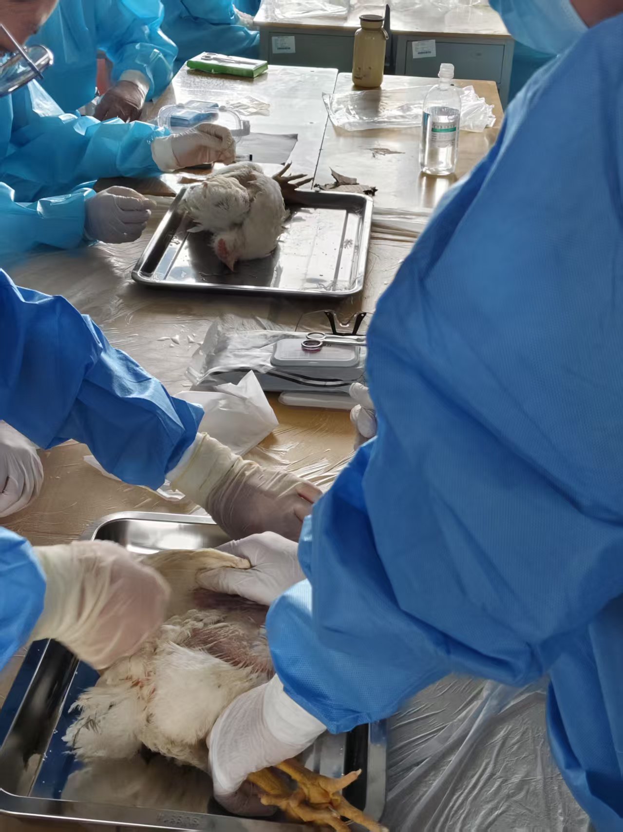 少妇被又大又粗又爽久久