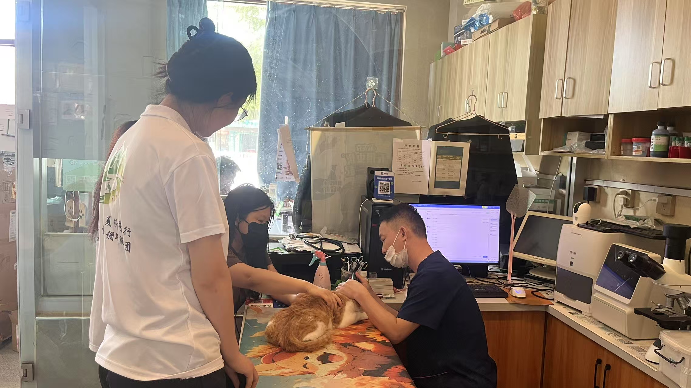 少妇被又大又粗又爽久久