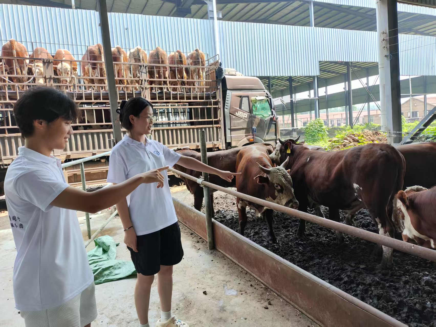 少妇被又大又粗又爽久久