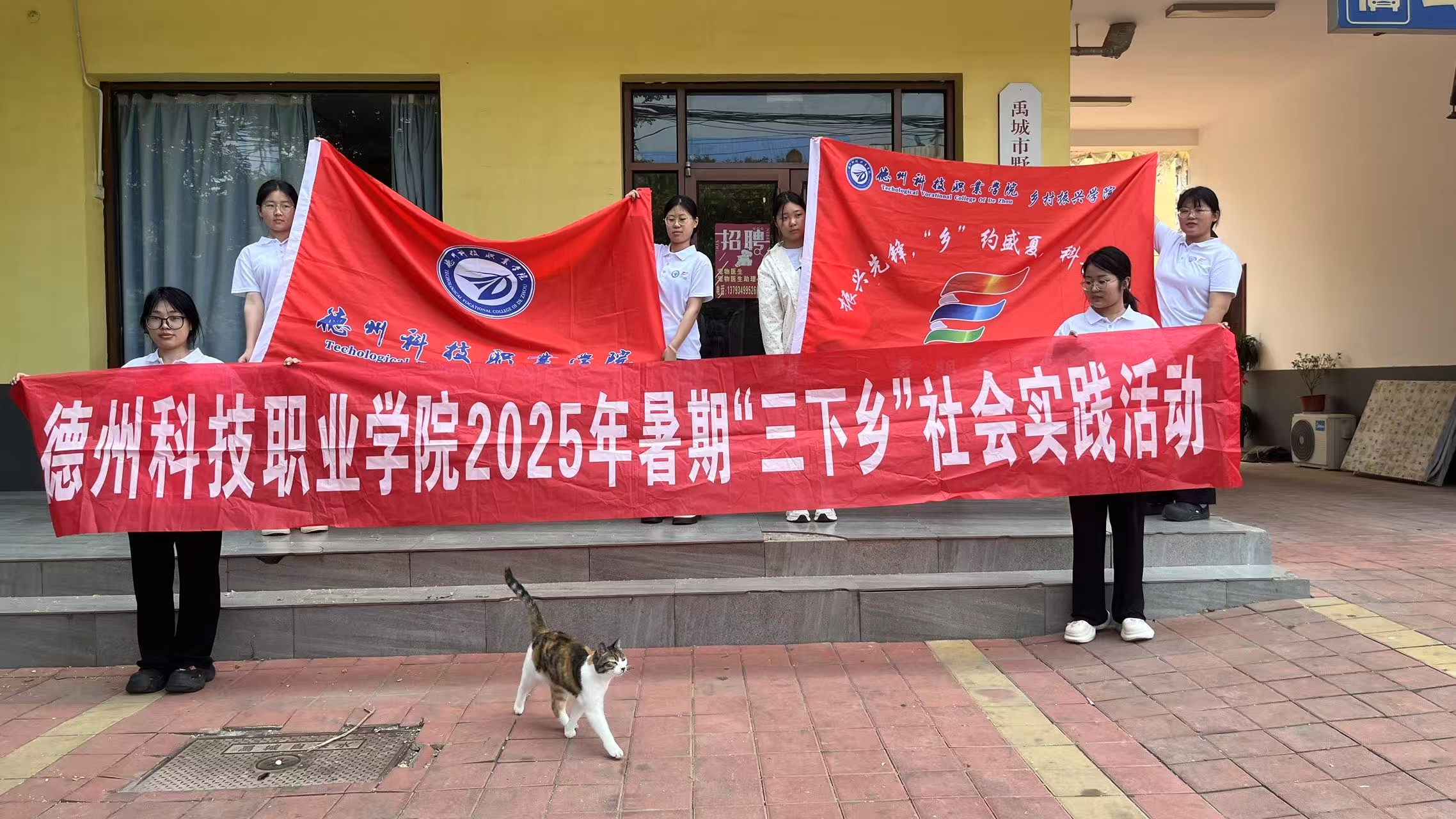 少妇被又大又粗又爽久久