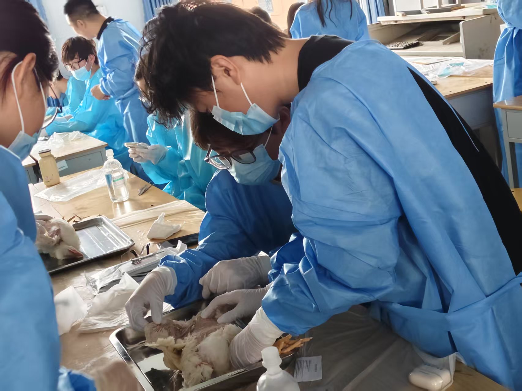 少妇被又大又粗又爽久久