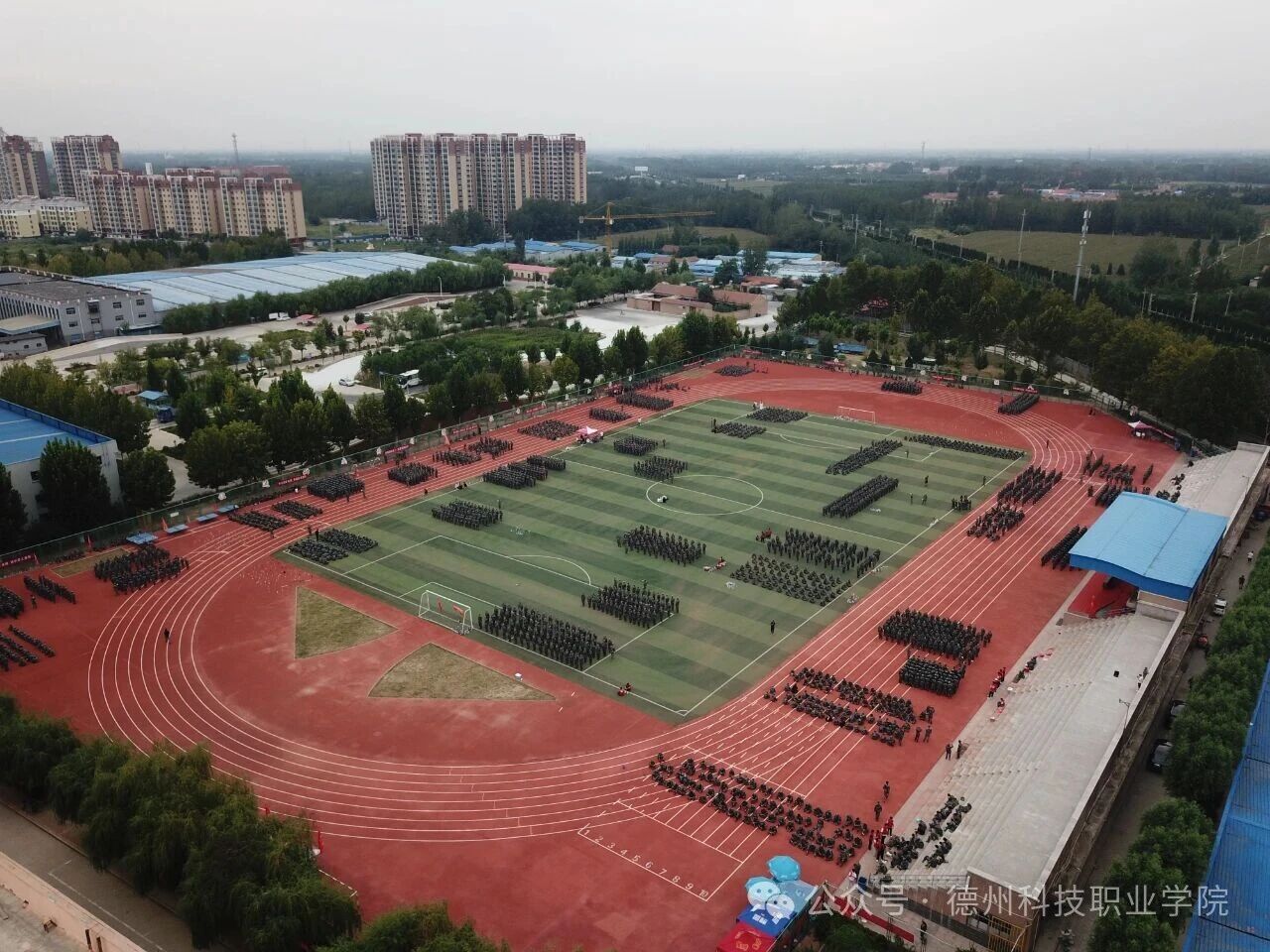 少妇被又大又粗又爽久久