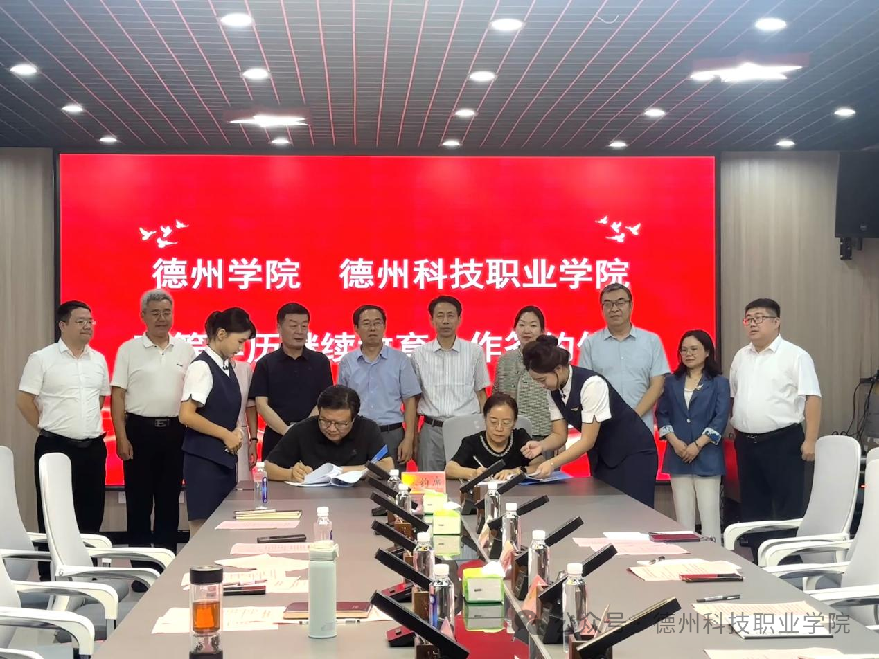 少妇被又大又粗又爽久久