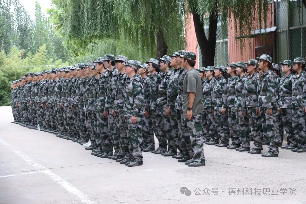 少妇被又大又粗又爽久久