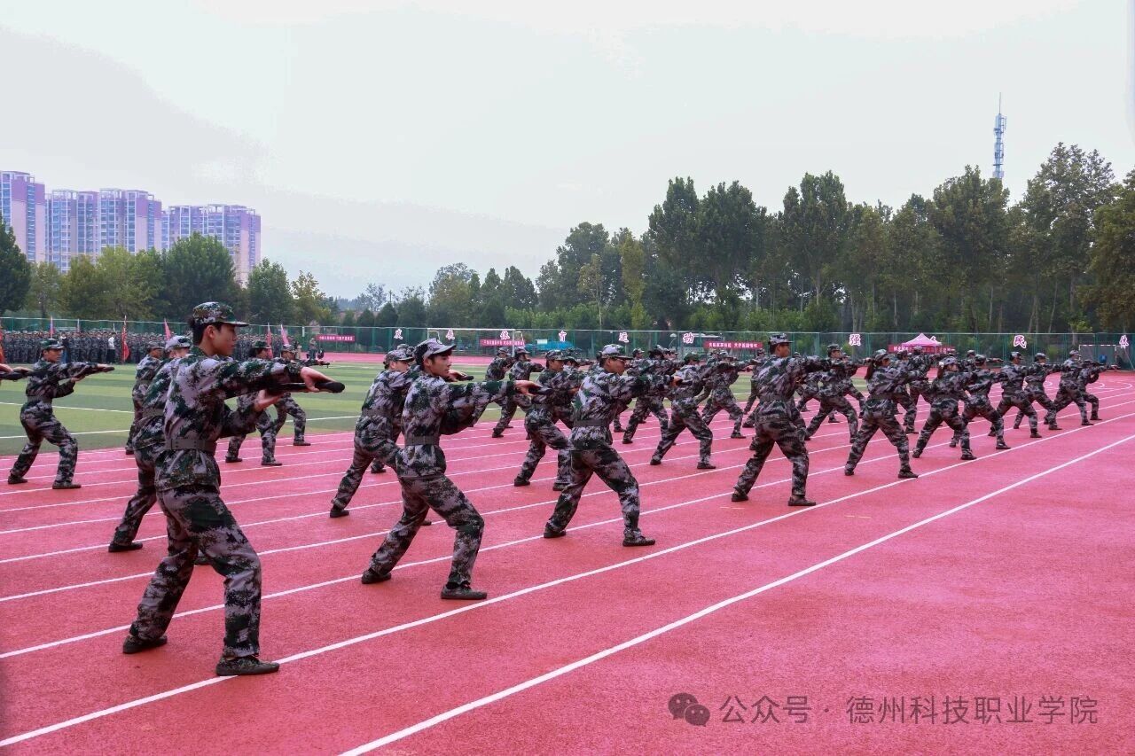 少妇被又大又粗又爽久久