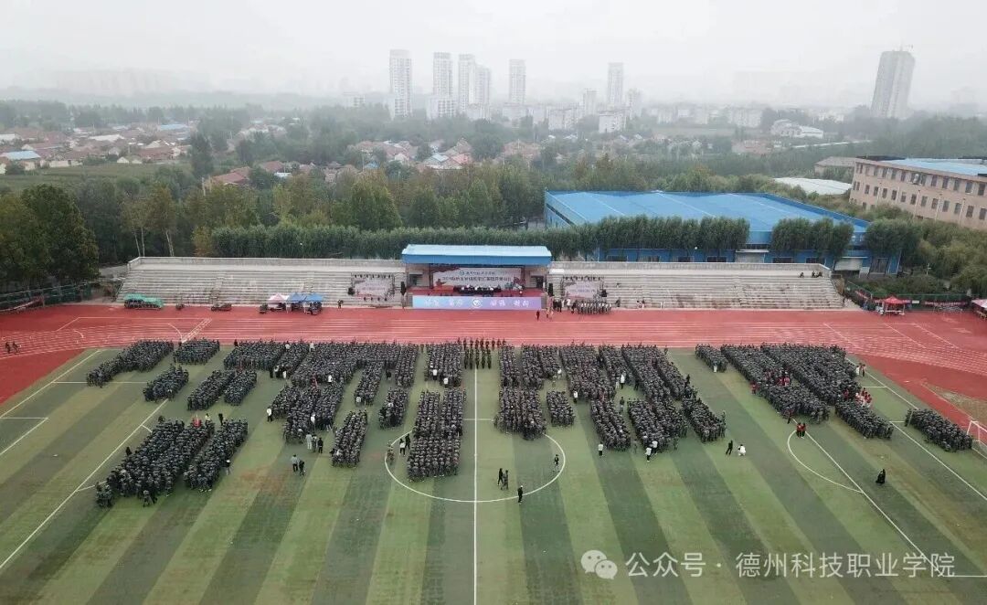 少妇被又大又粗又爽久久