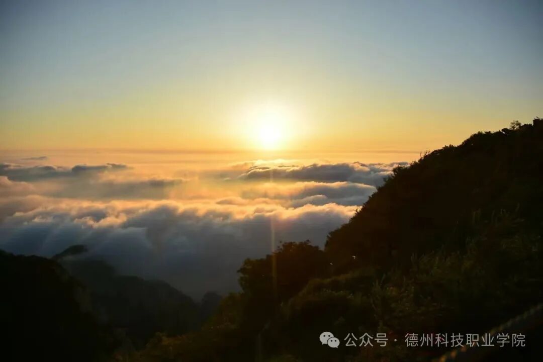 少妇被又大又粗又爽久久