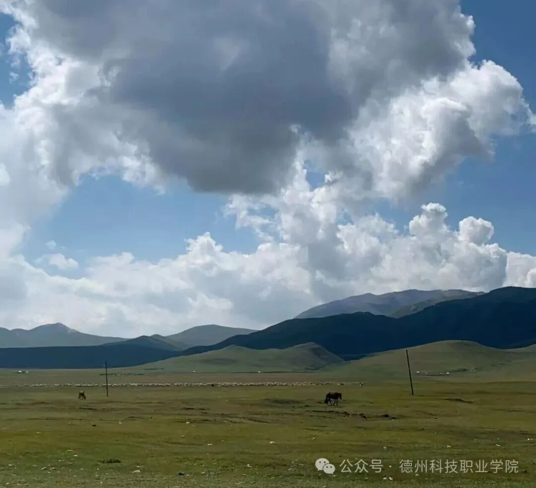 少妇被又大又粗又爽久久