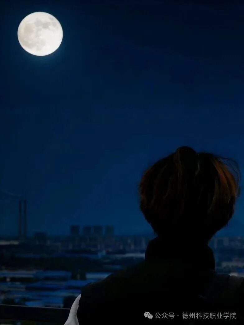 少妇被又大又粗又爽久久