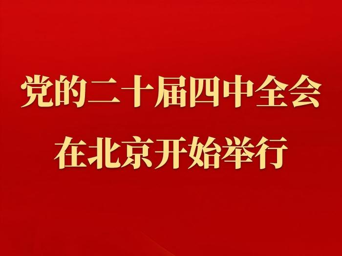 少妇被又大又粗又爽久久