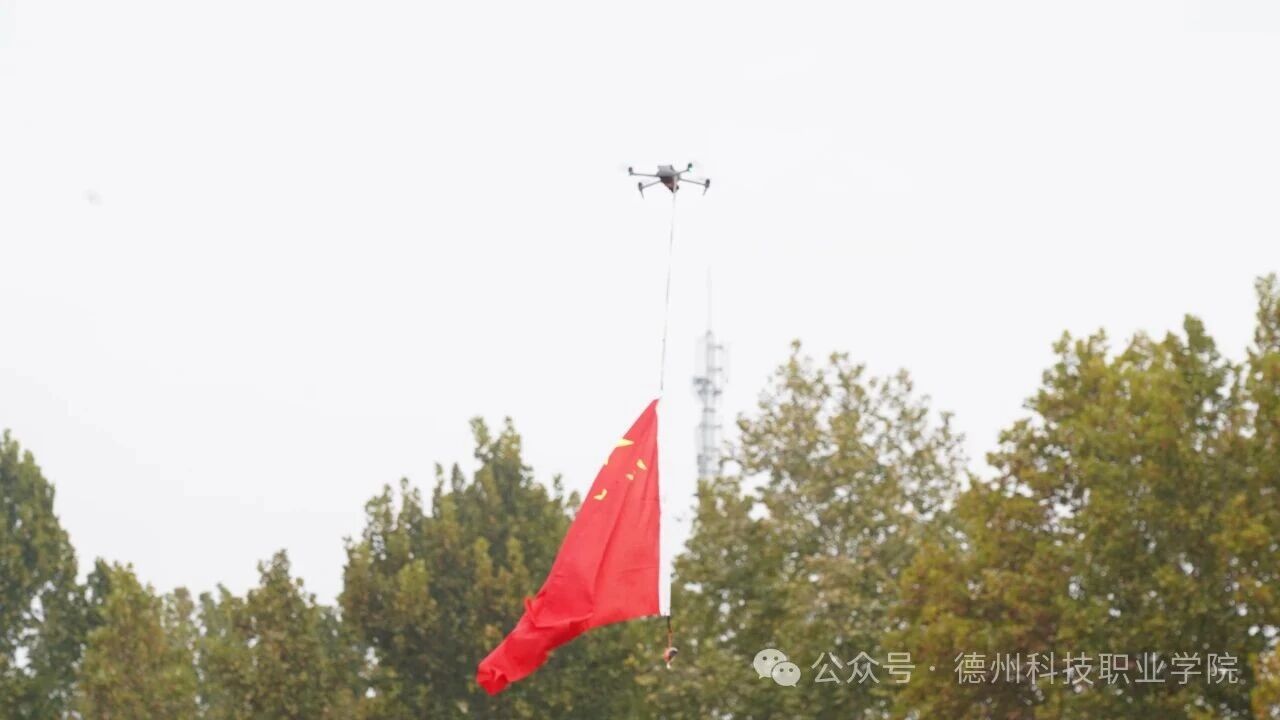 少妇被又大又粗又爽久久