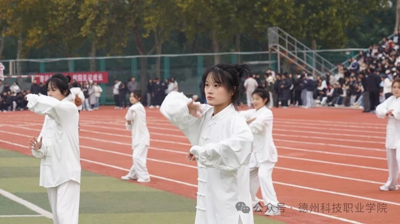 少妇被又大又粗又爽久久