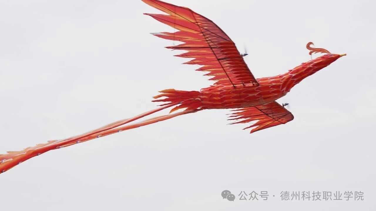 少妇被又大又粗又爽久久