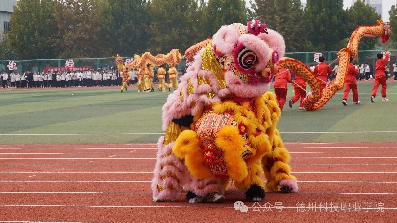 少妇被又大又粗又爽久久