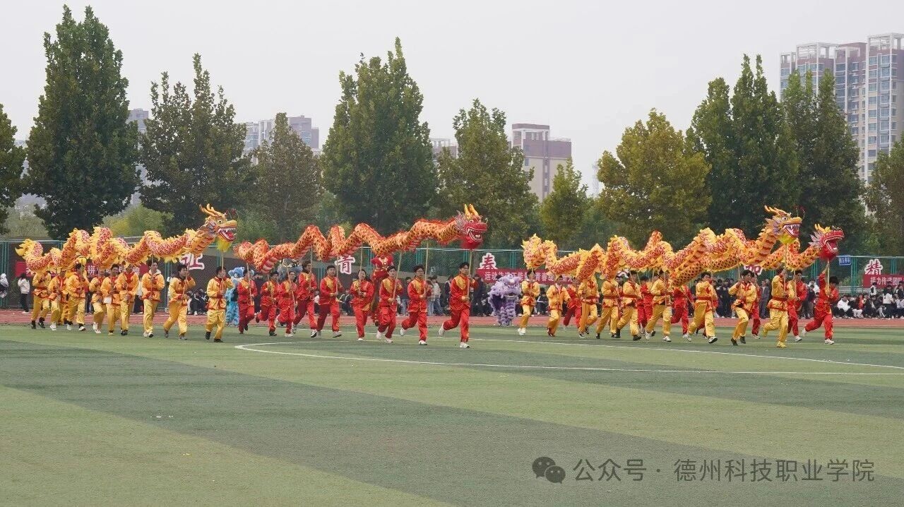 少妇被又大又粗又爽久久