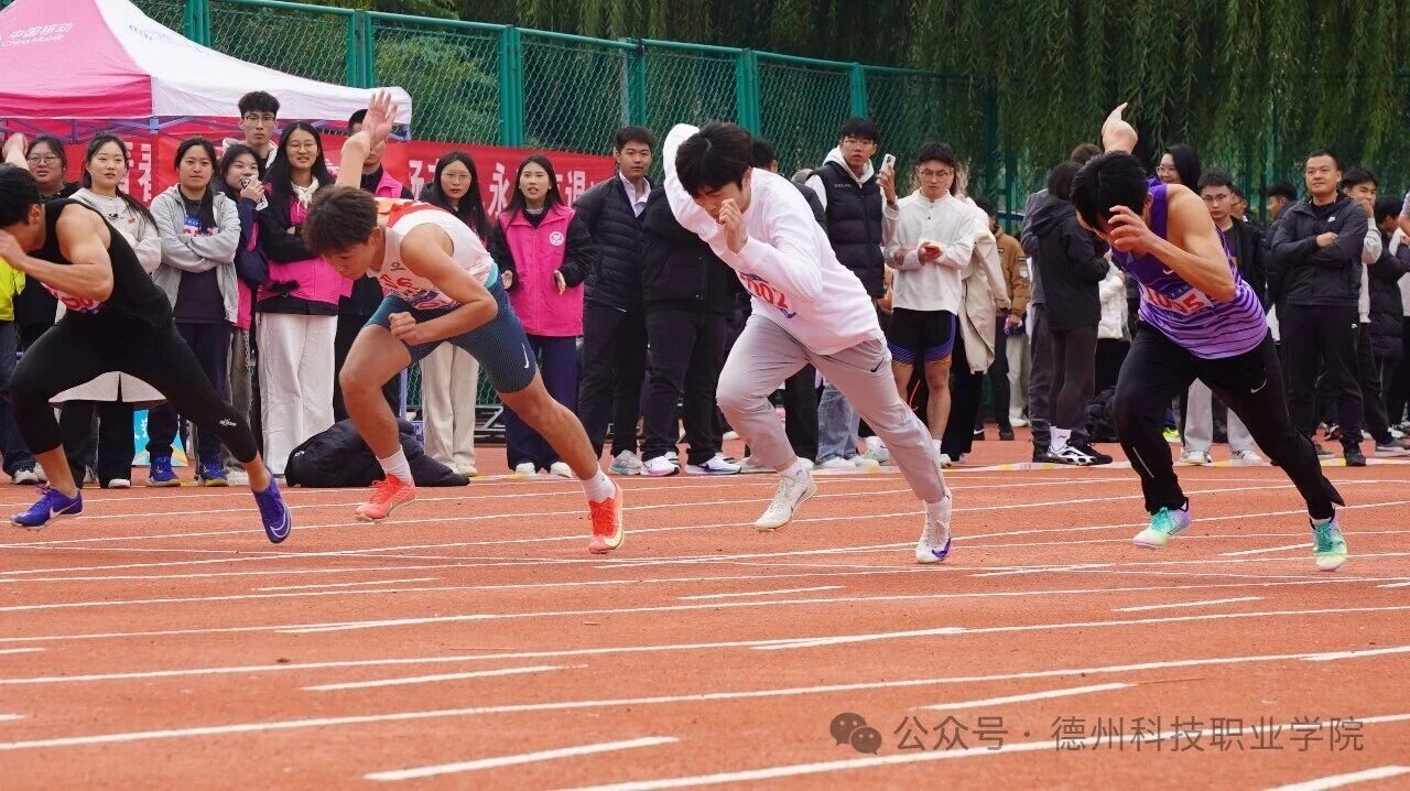 少妇被又大又粗又爽久久