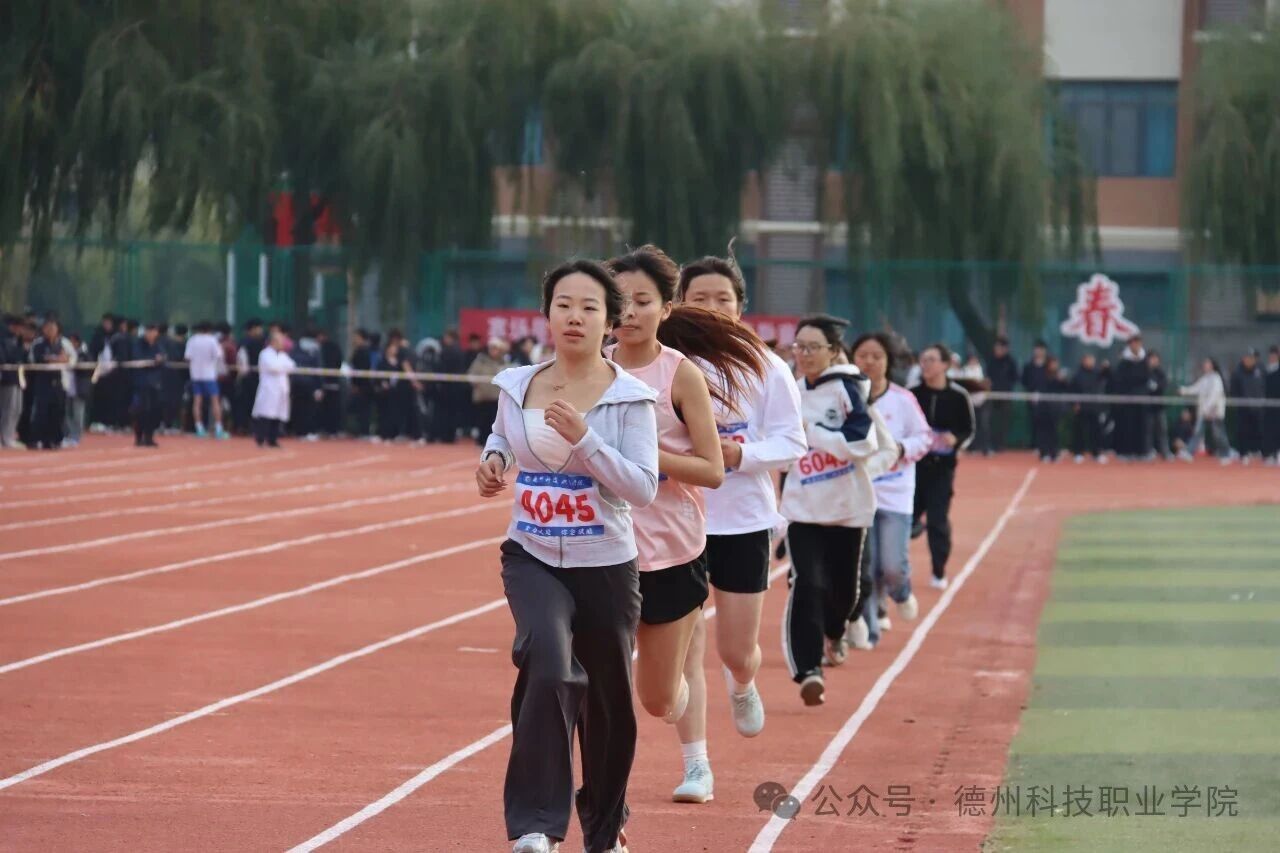 少妇被又大又粗又爽久久