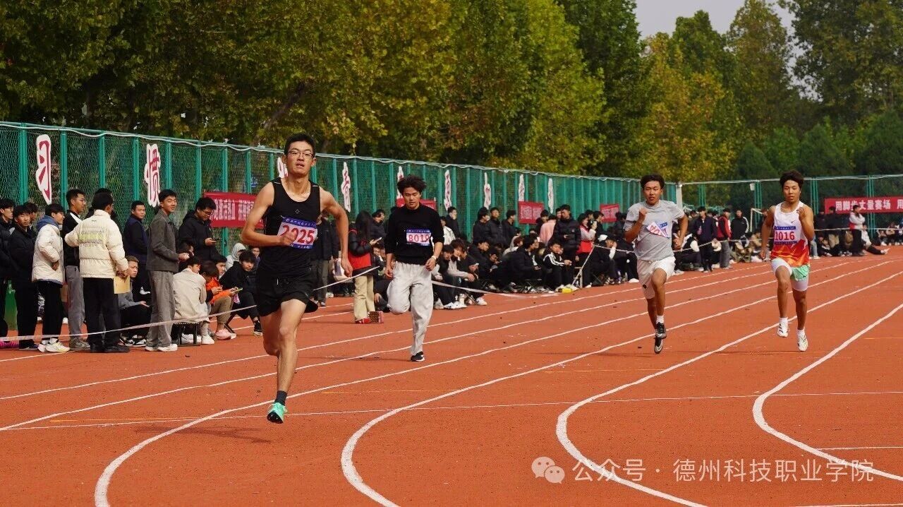 少妇被又大又粗又爽久久