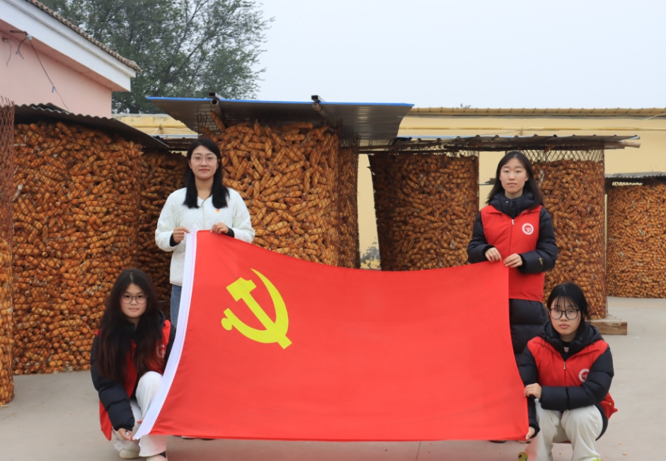 少妇被又大又粗又爽久久