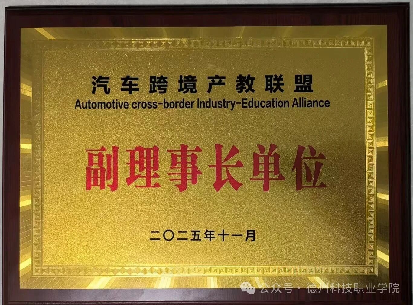 少妇被又大又粗又爽久久