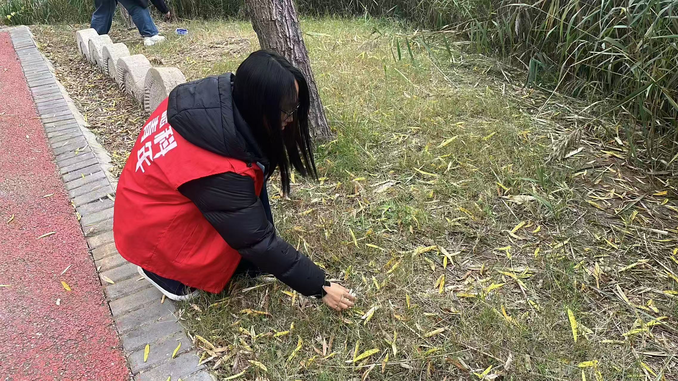 少妇被又大又粗又爽久久