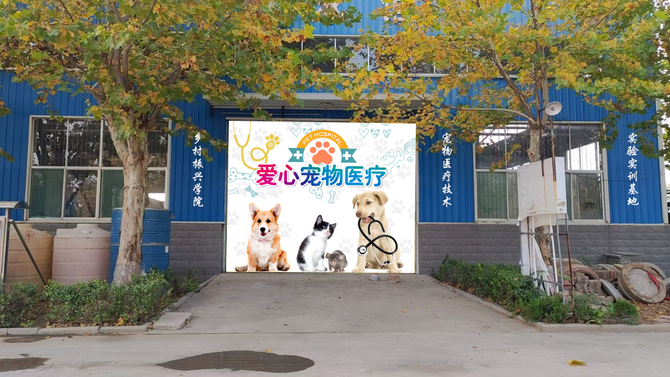 少妇被又大又粗又爽久久